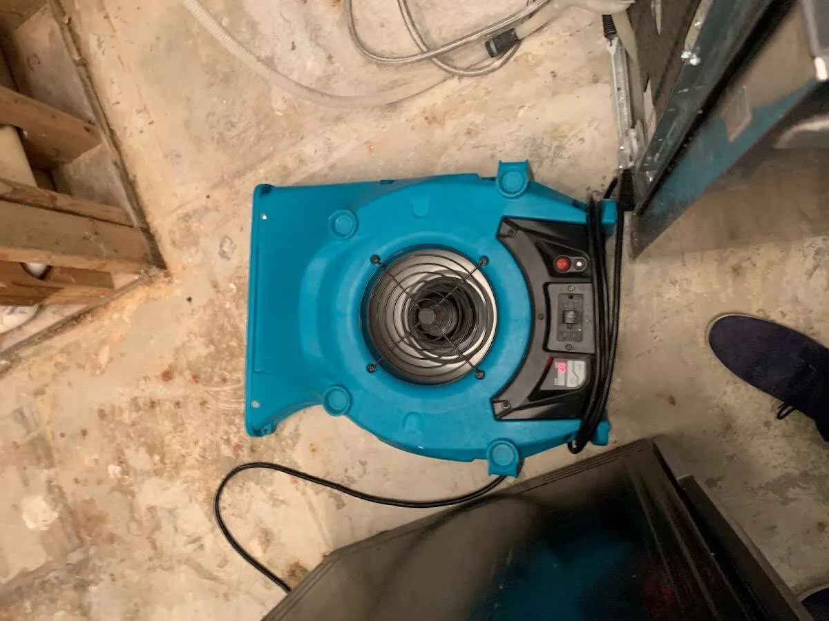 Air mover drying equipment for Mold Remediation & Removal in Acushnet
